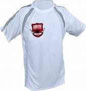Tee shirt sport bicolore